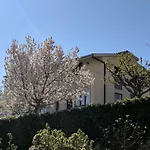 Split Apt With Parking Green Grass Of Home